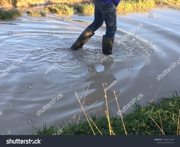 Wading Through Mud and Puddles